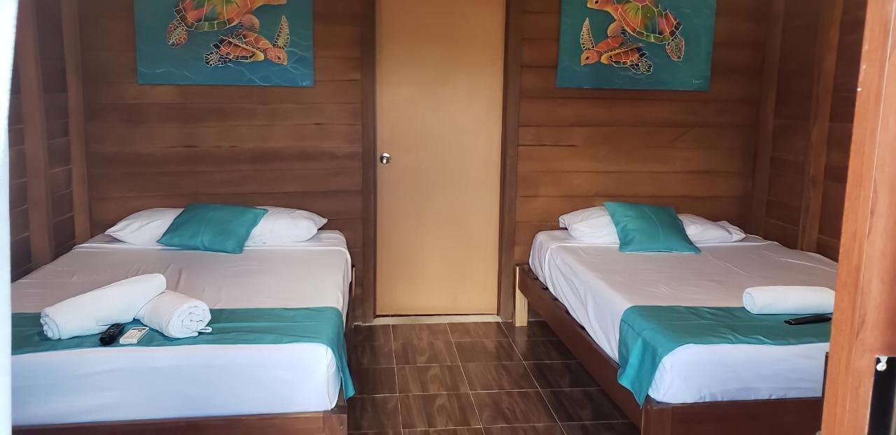 엘 쿠요 Cabana Tortuga A Unos Pasos De La Playa 아파트 외부 사진