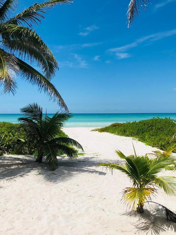 엘 쿠요 Cabana Tortuga A Unos Pasos De La Playa 아파트 외부 사진
